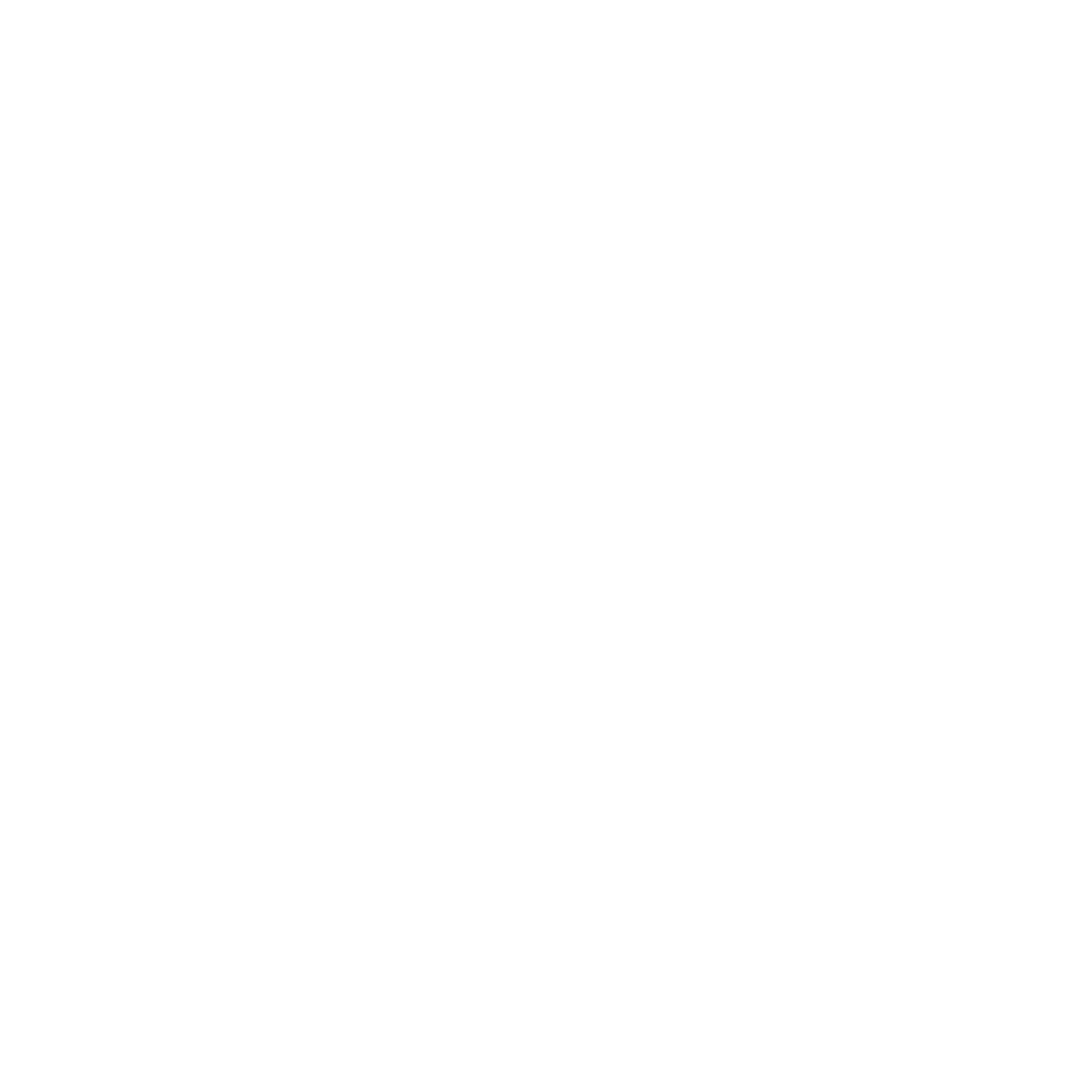 logo-custom2