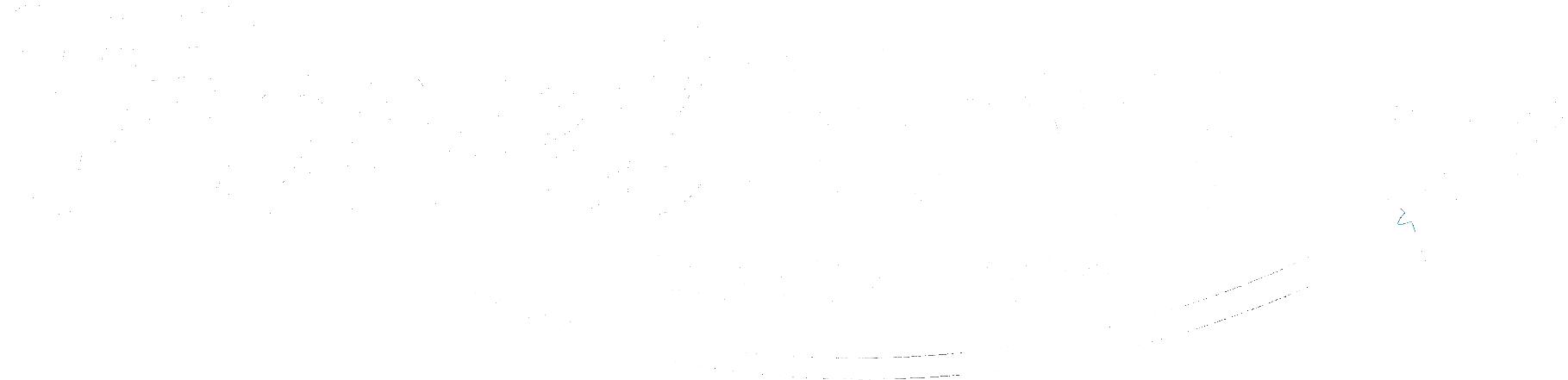 logo-custom1