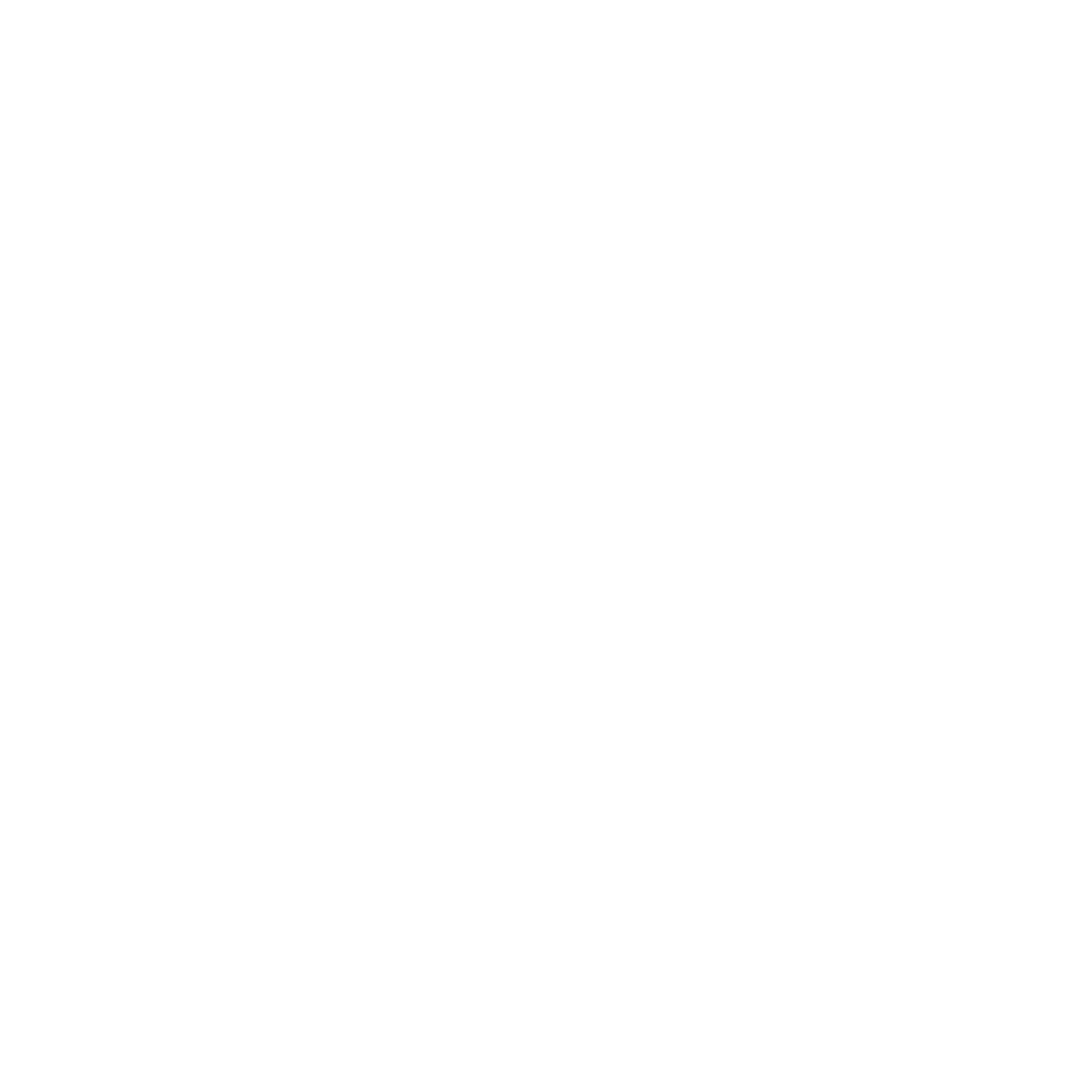 logo-faevyt