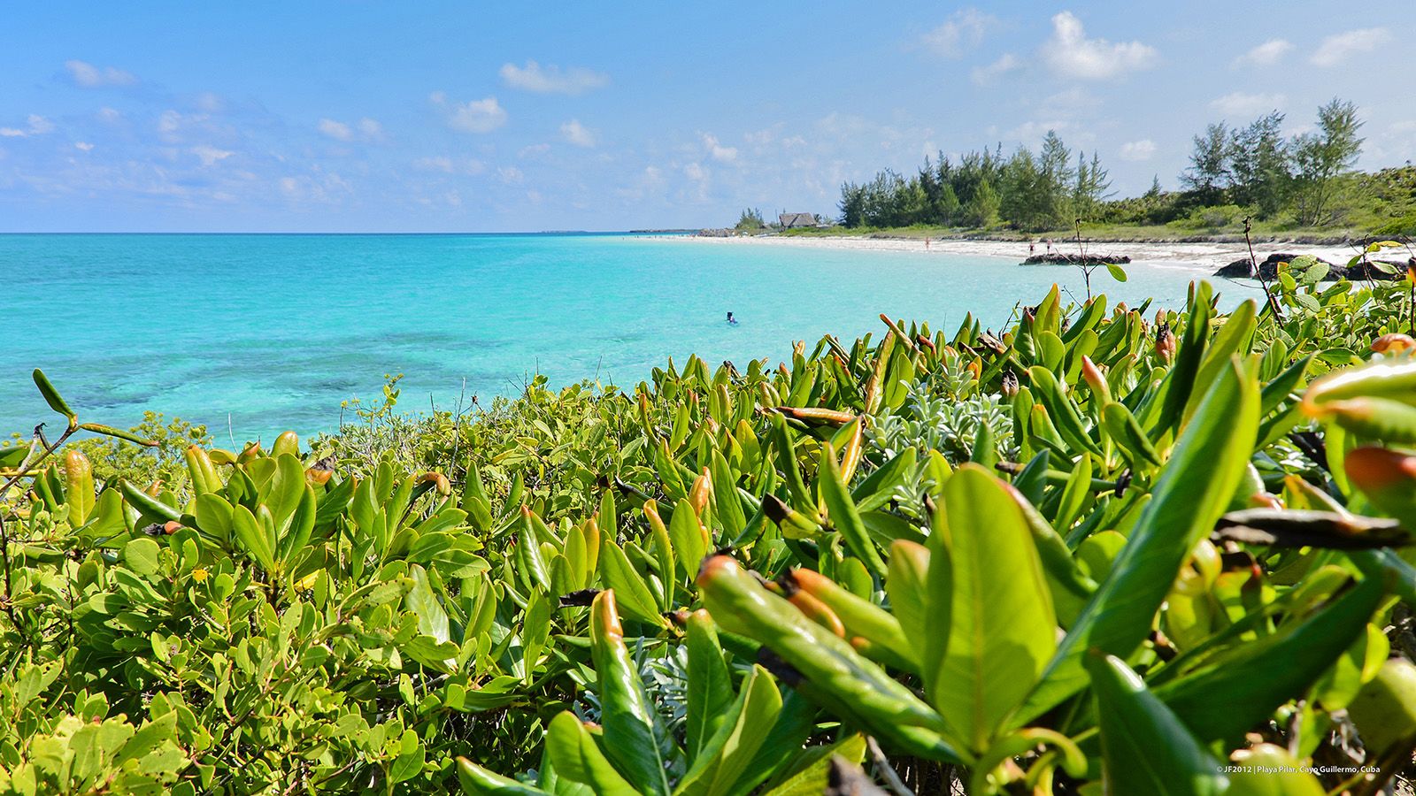 Billboard background