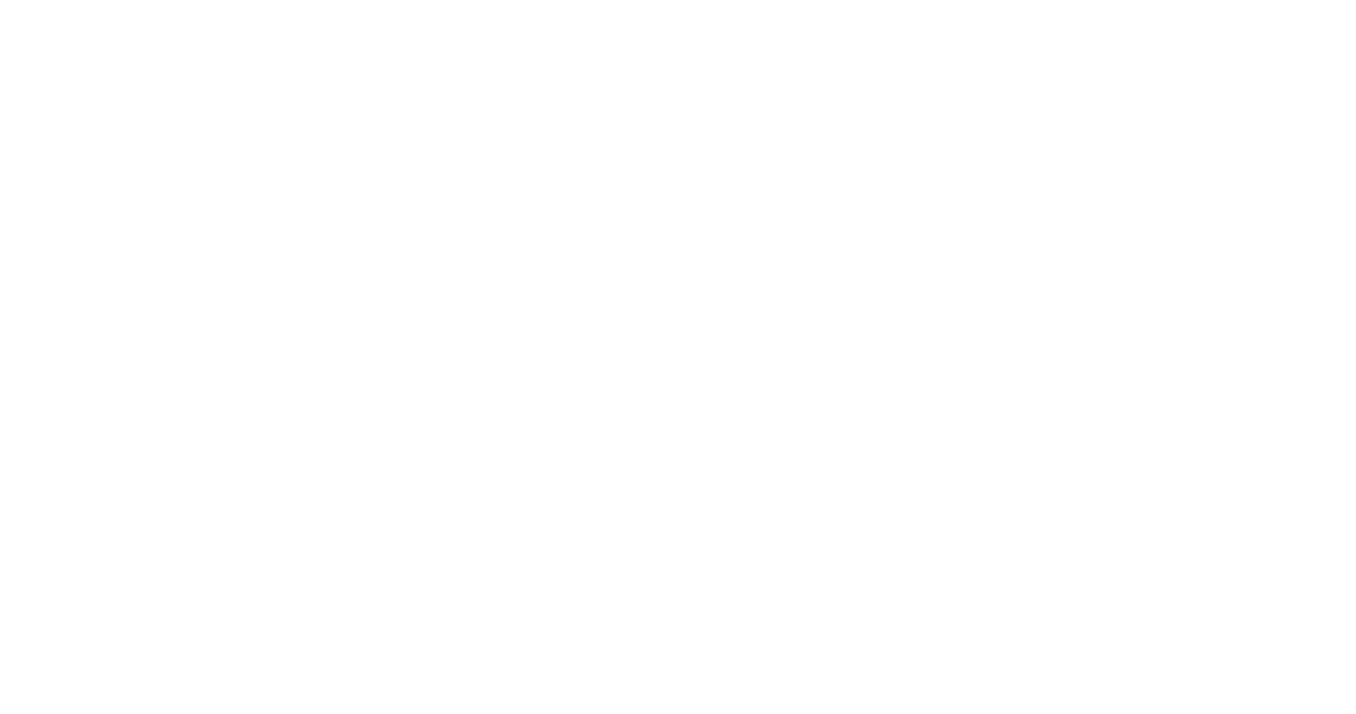 logo-custom1