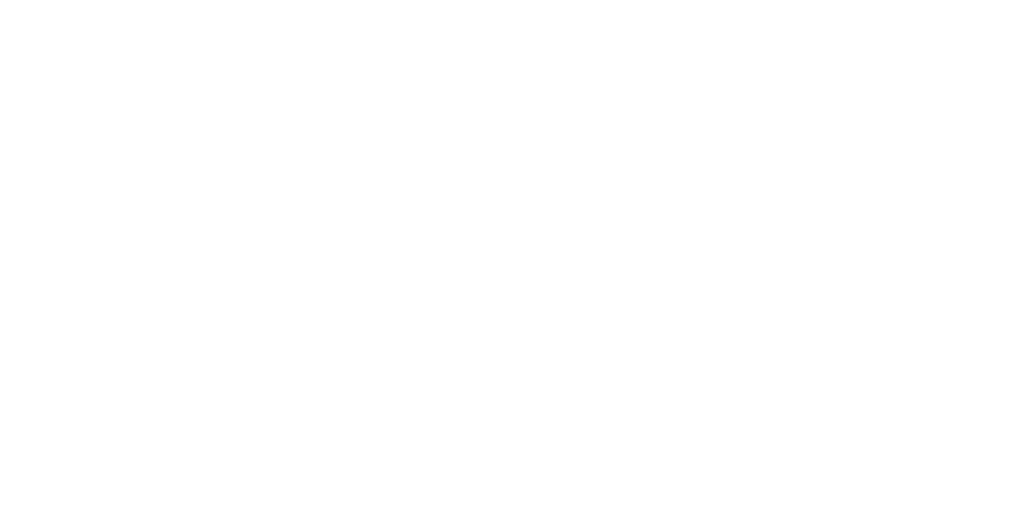 logo-custom1