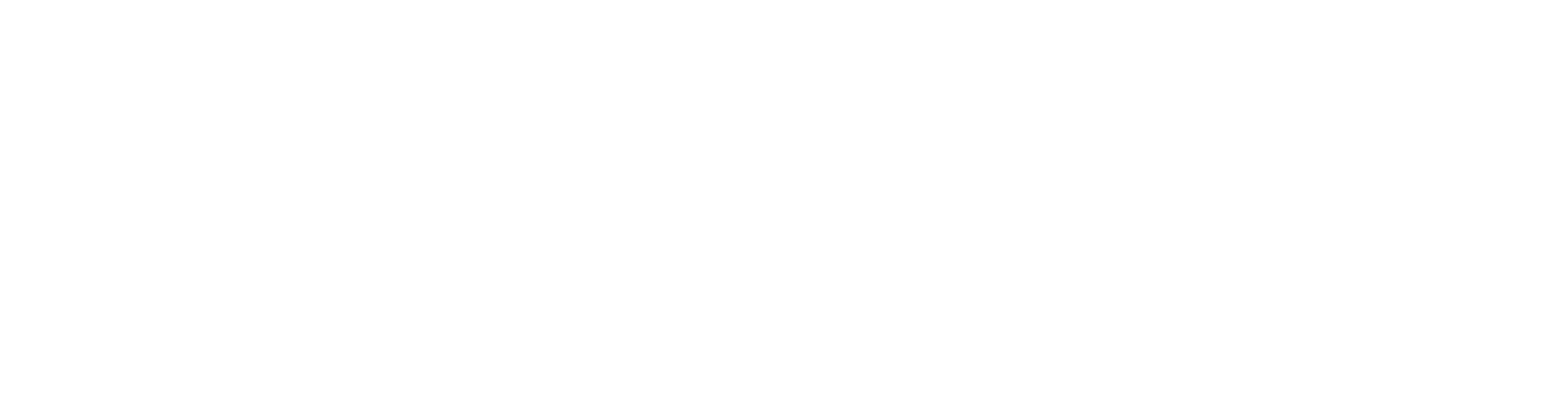 logo-custom1
