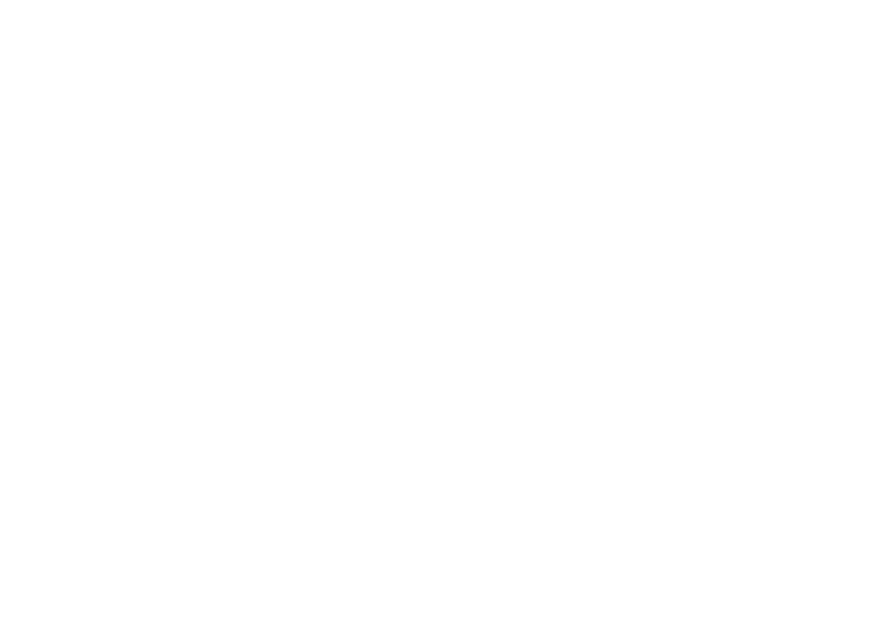 logo-custom2