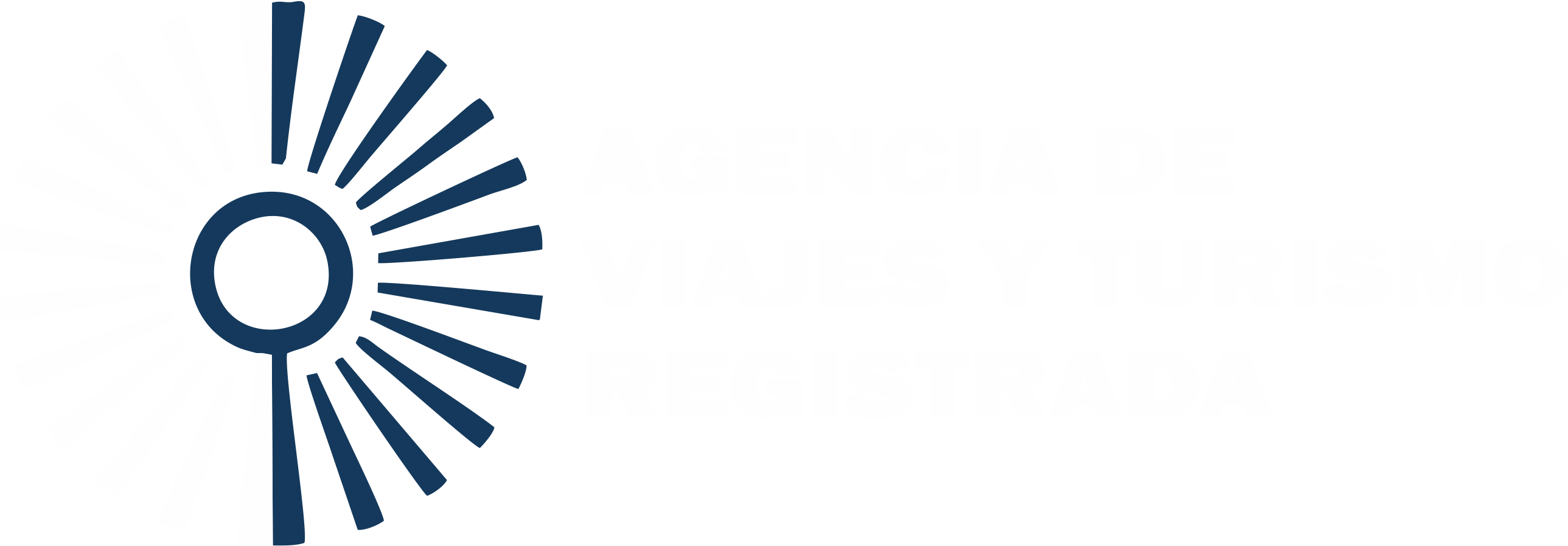 logo-custom1