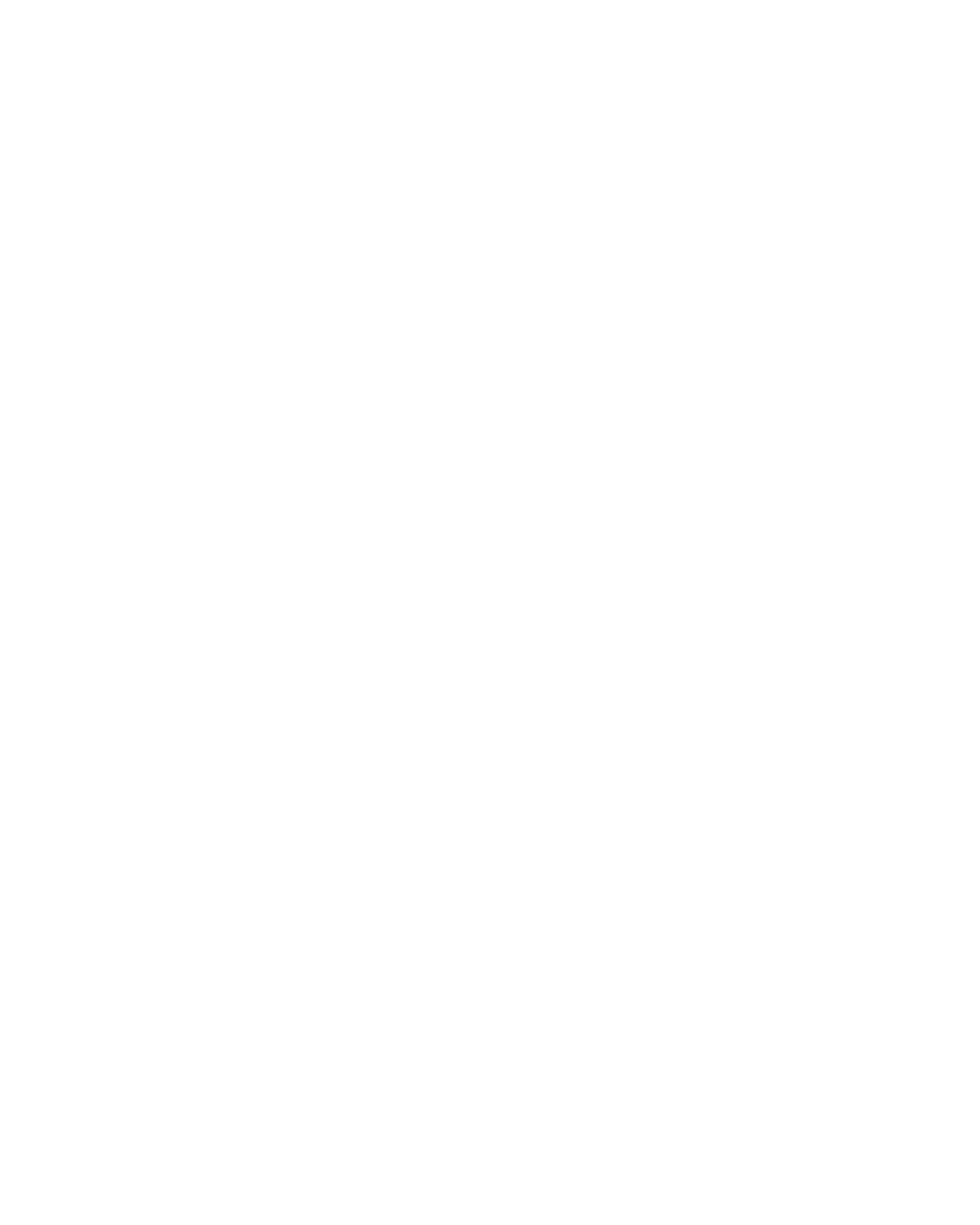 logo-custom1