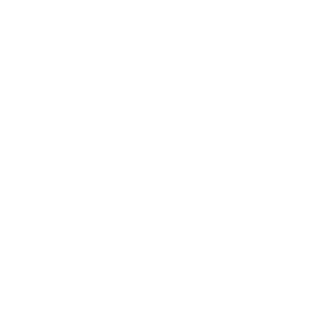 logo-custom1