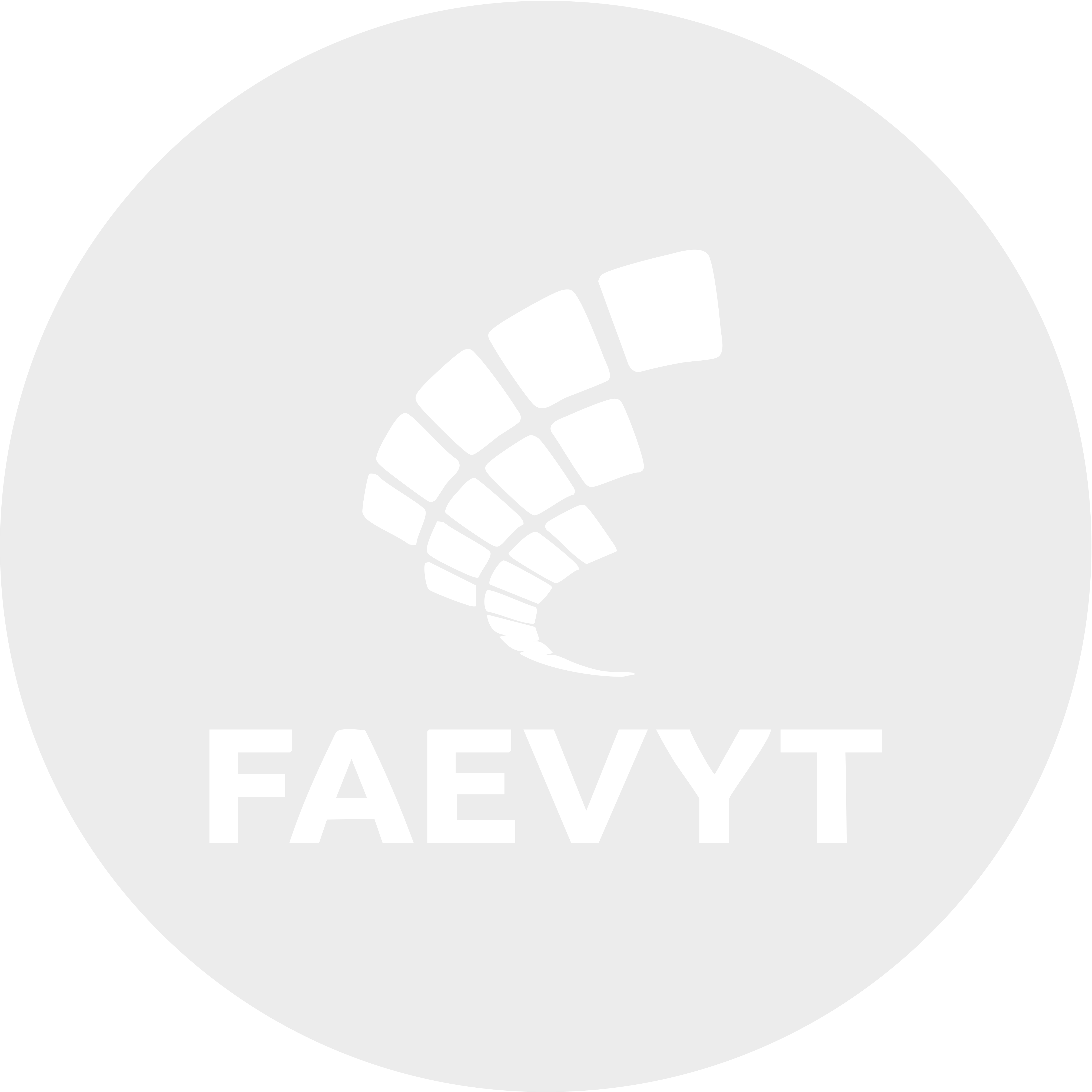 logo-faevyt