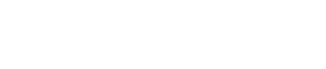 logo-custom2