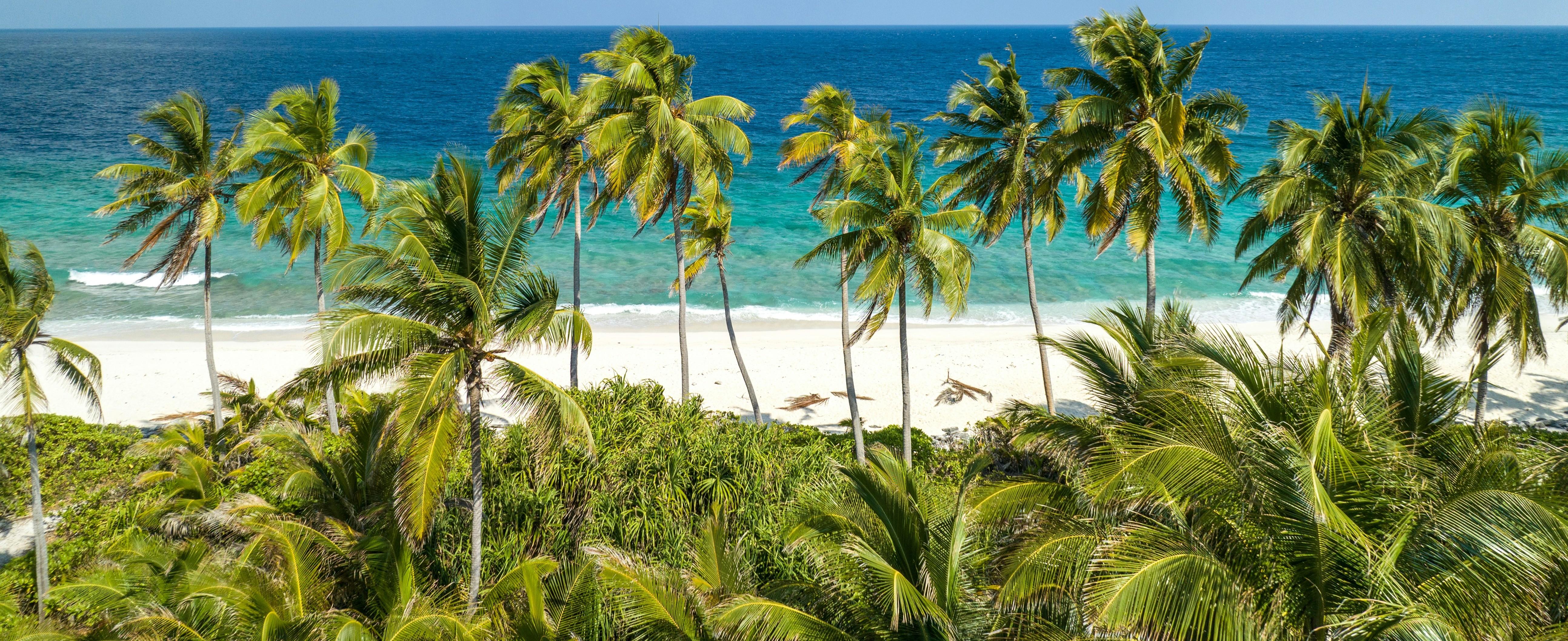 Billboard background